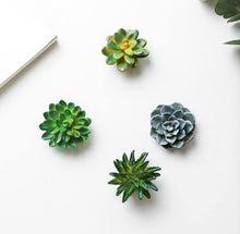Load image into Gallery viewer, Succulent Refrigerator Magnets - 4 piece set