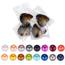 Load image into Gallery viewer, Oyster with freshwater Pearl