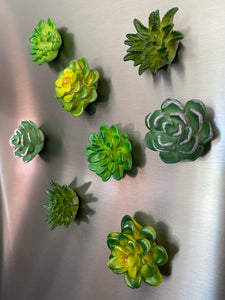 Succulent Refrigerator Magnets - 4 piece set