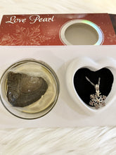 Load image into Gallery viewer, Oyster with Pearl + Necklace &amp; Cage