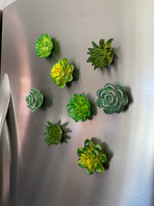 Succulent Refrigerator Magnets - 4 piece set