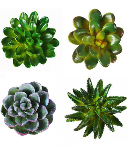 Succulent Refrigerator Magnets - 4 piece set