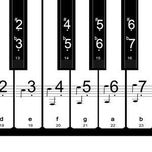 Piano Key Removable Stickers